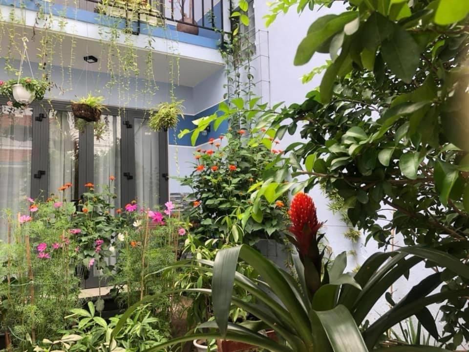 Cherry Garden Homestay هوي ان المظهر الخارجي الصورة