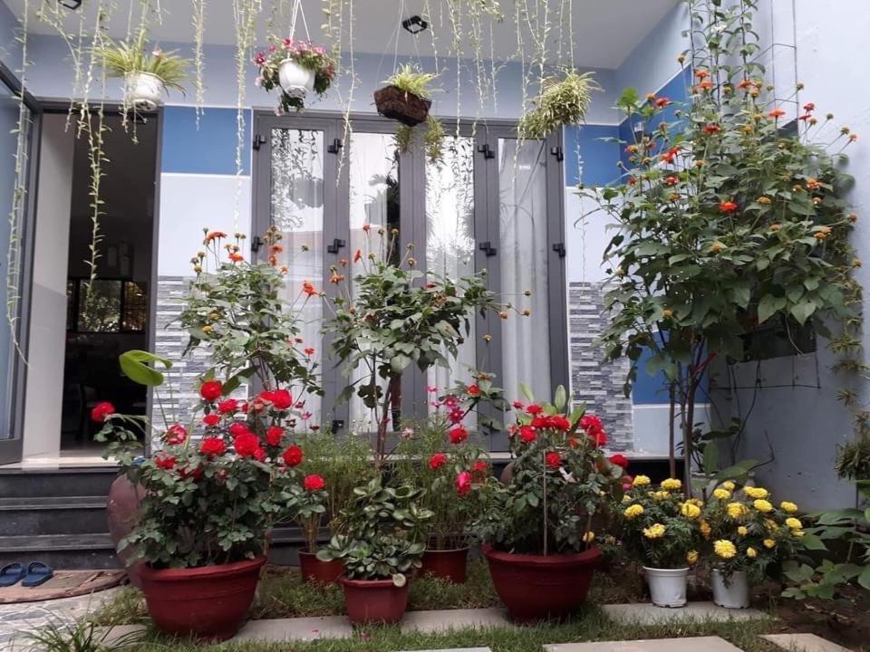 Cherry Garden Homestay هوي ان المظهر الخارجي الصورة