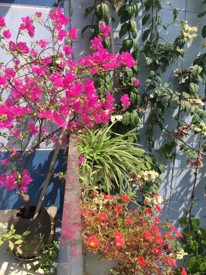 Cherry Garden Homestay هوي ان المظهر الخارجي الصورة