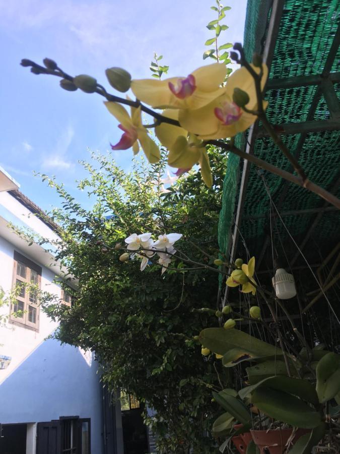 Cherry Garden Homestay هوي ان المظهر الخارجي الصورة