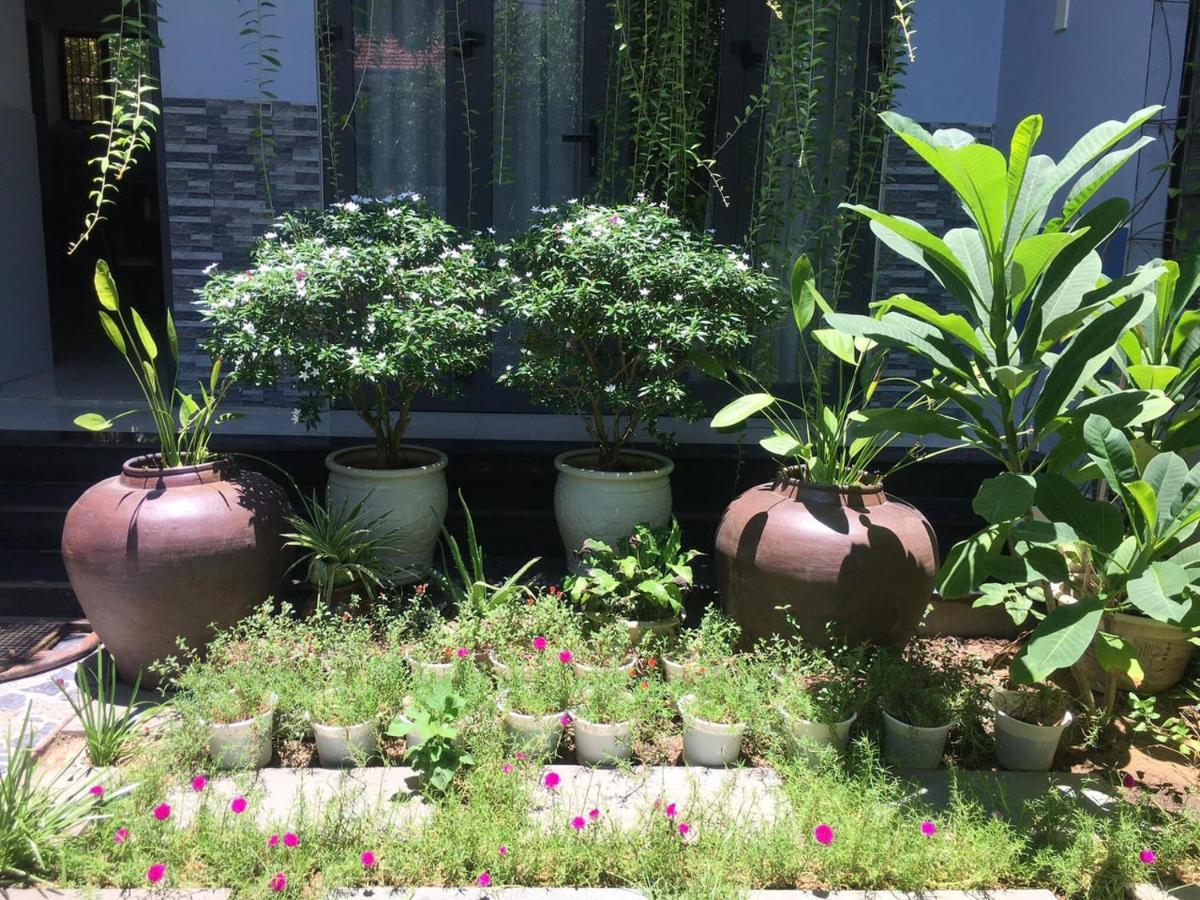 Cherry Garden Homestay هوي ان المظهر الخارجي الصورة