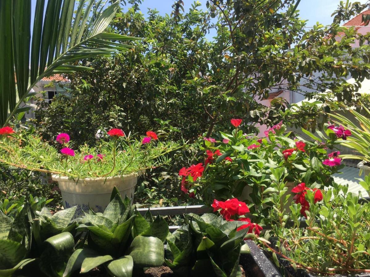 Cherry Garden Homestay هوي ان المظهر الخارجي الصورة