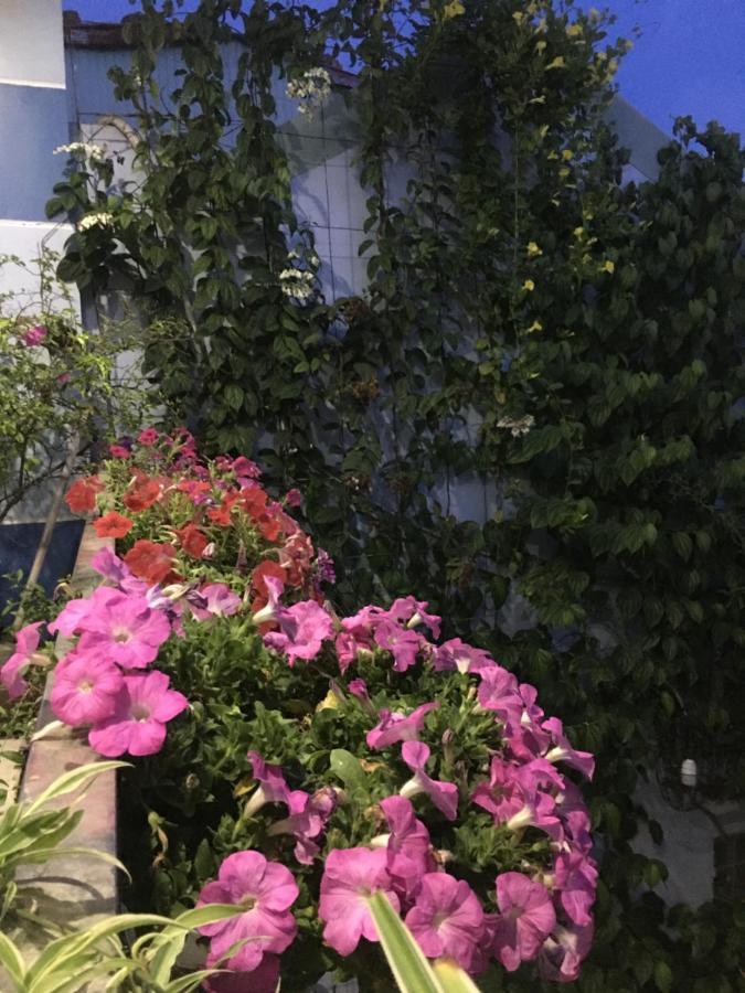 Cherry Garden Homestay هوي ان المظهر الخارجي الصورة