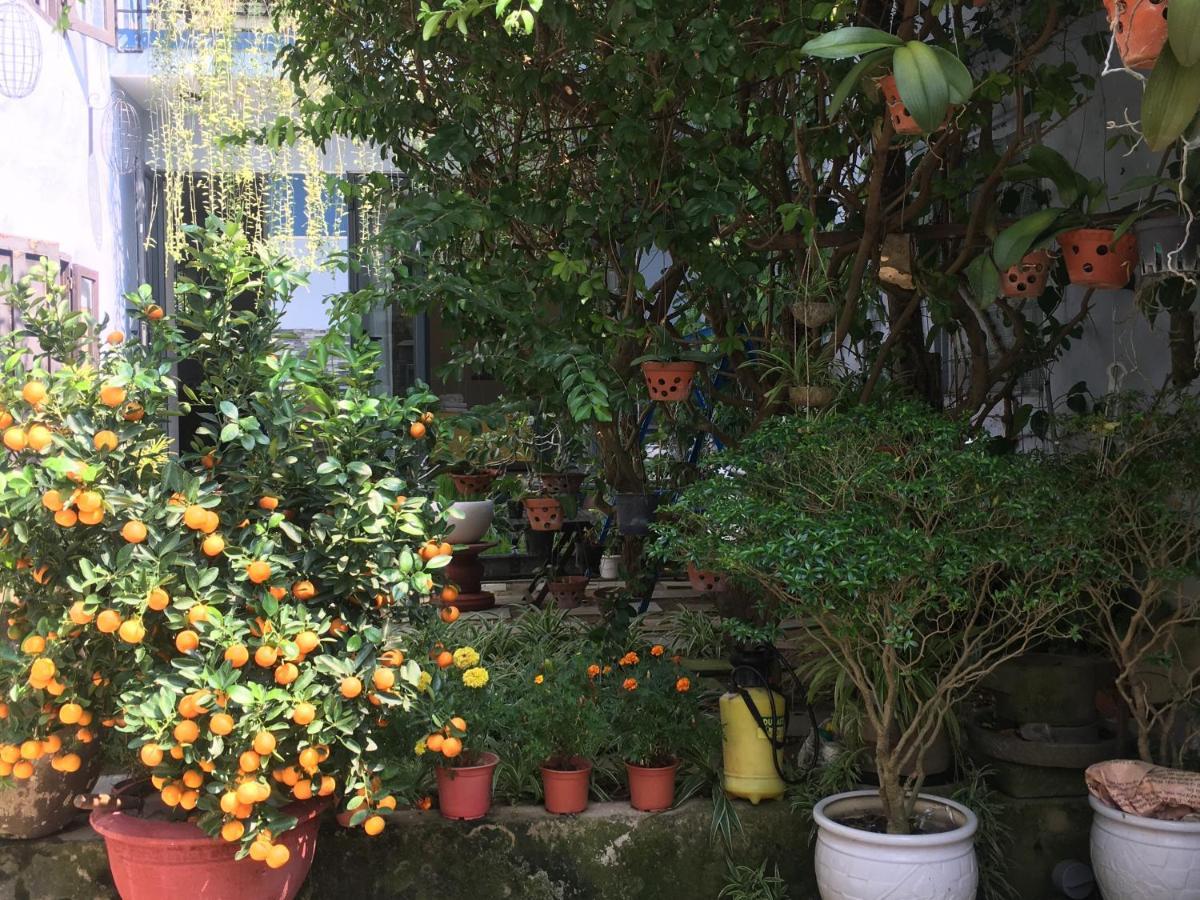 Cherry Garden Homestay هوي ان المظهر الخارجي الصورة