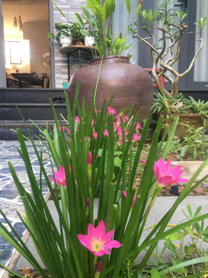 Cherry Garden Homestay هوي ان المظهر الخارجي الصورة